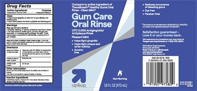 Principal Display Panel (97580 Target Upandup Mw Gum Care 16oz V97580b View)